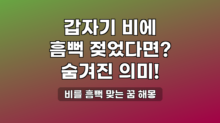 비를 흠뻑 맞는 꿈 해몽
