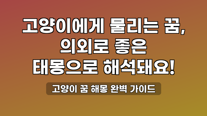 고양이 꿈 해몽 완벽 가이드