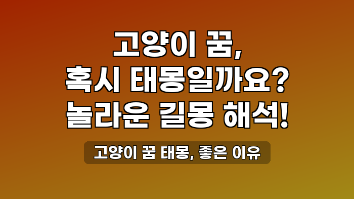 고양이 꿈 태몽, 좋은 이유