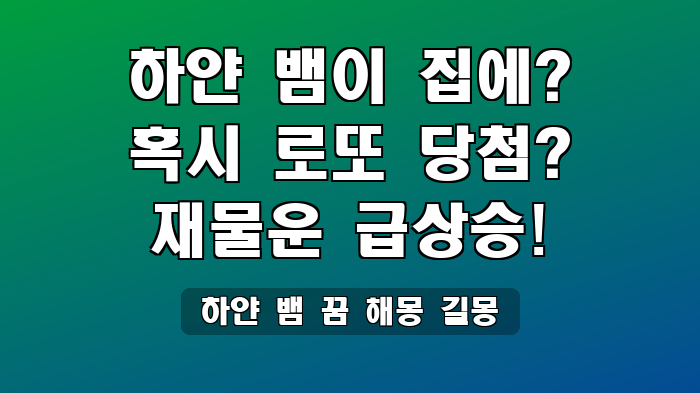 하얀 뱀 꿈 해몽 길몽