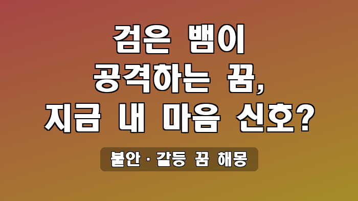불안·갈등 꿈 해몽