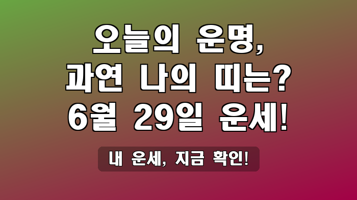 내 운세, 지금 확인!