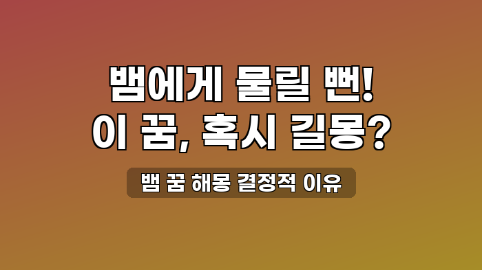 뱀 꿈 해몽 결정적 이유