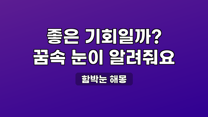 함박눈 해몽