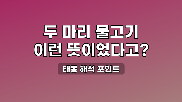 태몽 해석 포인트