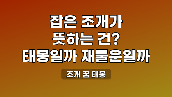 조개 꿈 태몽
