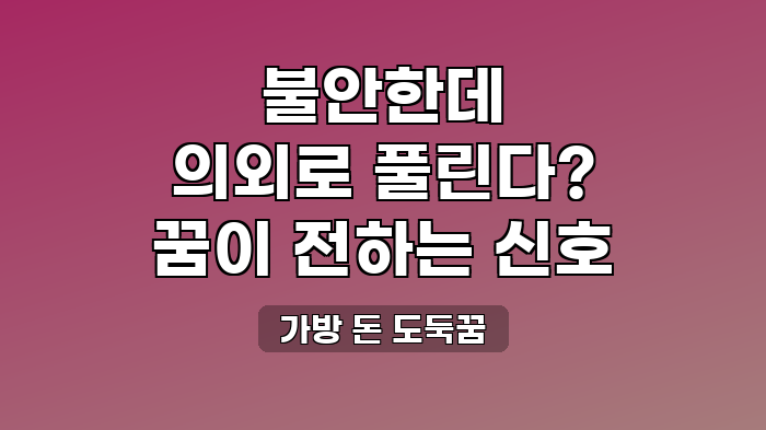 가방 돈 도둑꿈