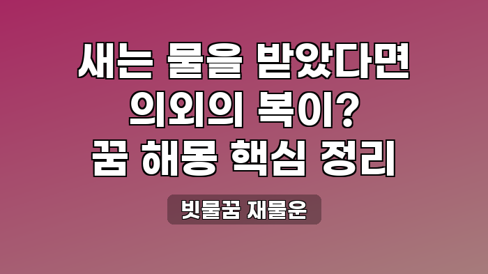 빗물꿈 재물운