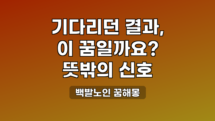백발노인 꿈해몽