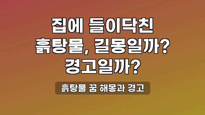 흙탕물이 집 안으로 밀려드는 꿈, 재물운보다 조심해야 할 것은?